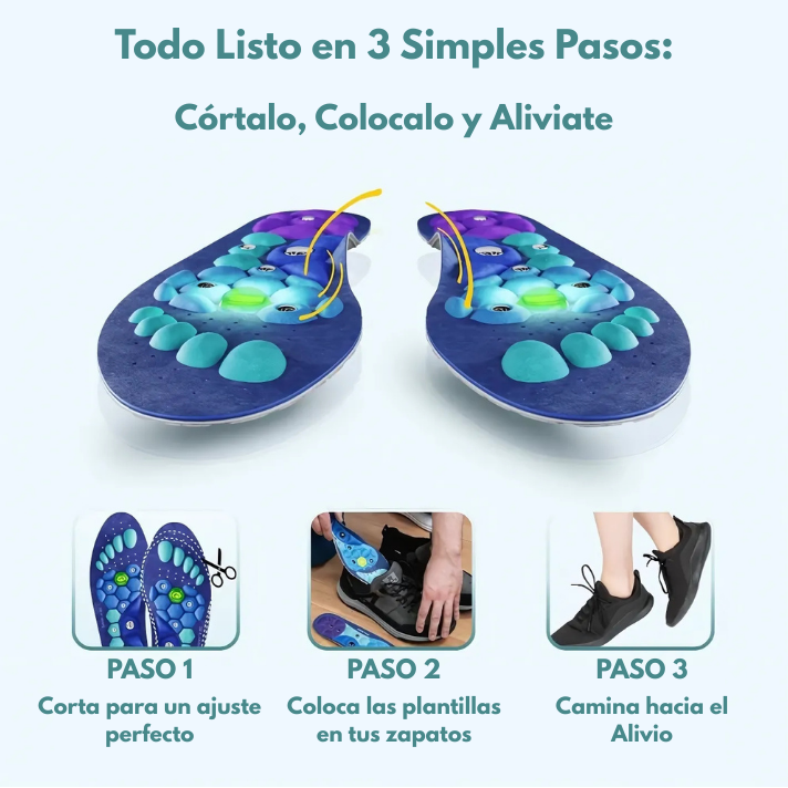 Plantillas Magnéticas Stella's