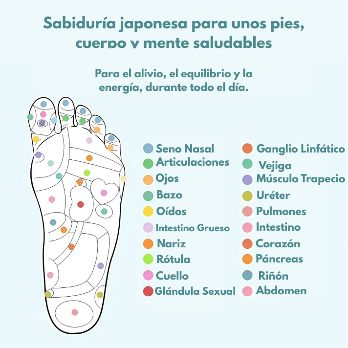 Plantillas Magnéticas Stella's