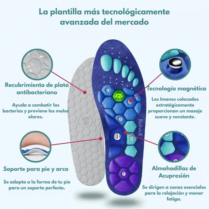 Plantillas Magnéticas Stella's